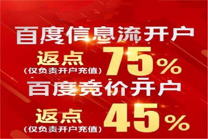 SEM服务公司助力品牌崛起案例